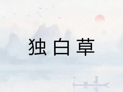 独白草 独白草