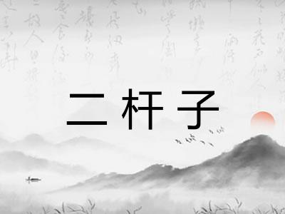 二杆子