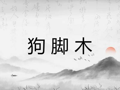 狗脚木