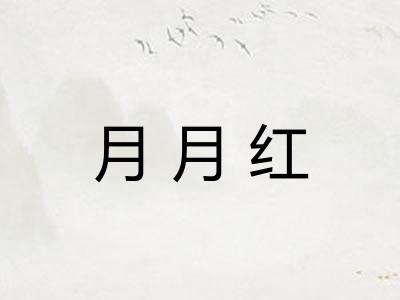 月月红
