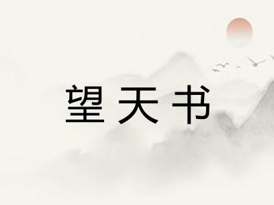 望天书