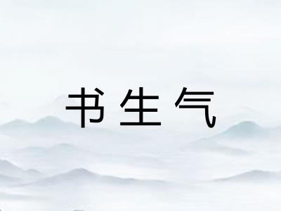书生气