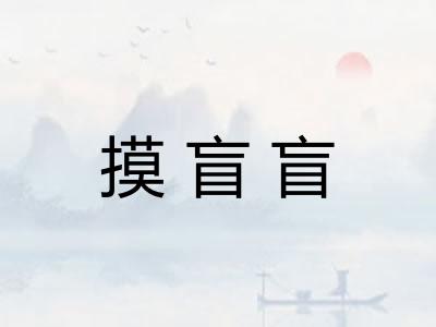 摸盲盲
