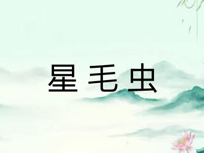 星毛虫