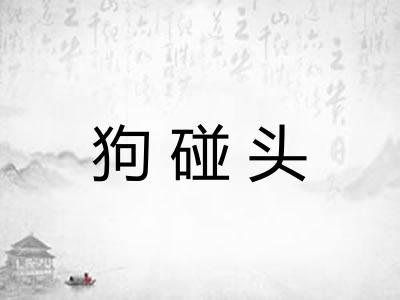 狗碰头