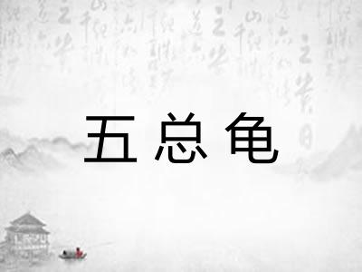 五总龟 五总龟