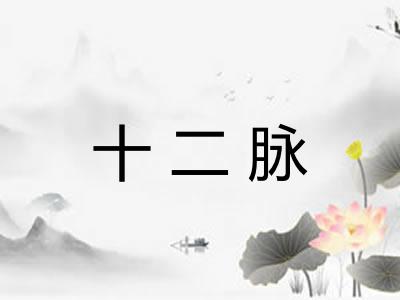 十二脉