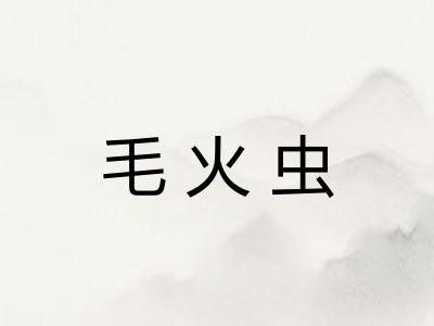 毛火虫