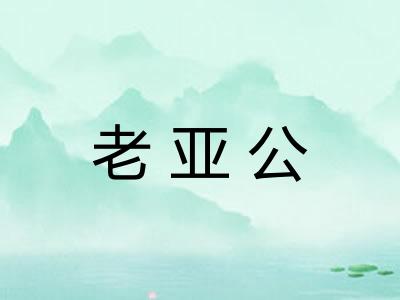 老亚公 老亚公
