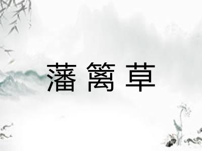 藩篱草