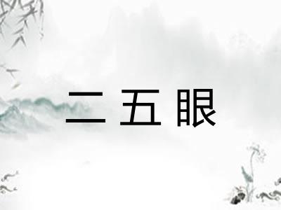 二五眼