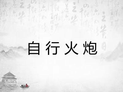 自行火炮 自行火炮