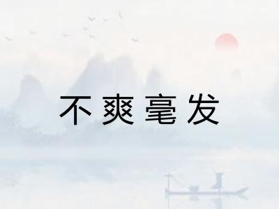 不爽毫发