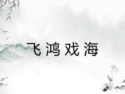 飞鸿戏海