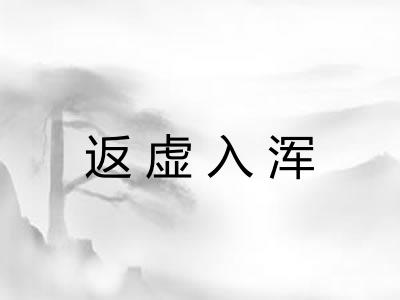 返虚入浑