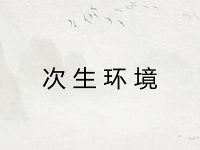 次生环境