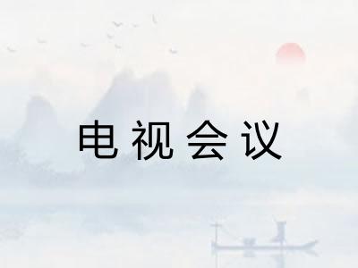 电视会议