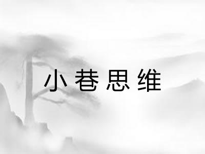 小巷思维