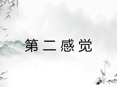 第二感觉