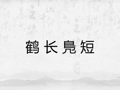 鹤长鳬短