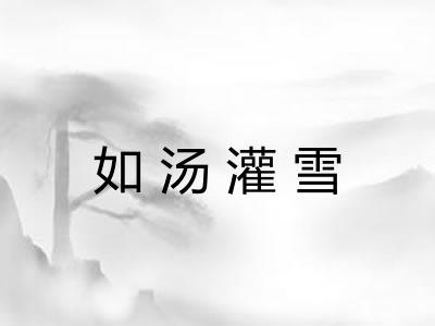 如汤灌雪