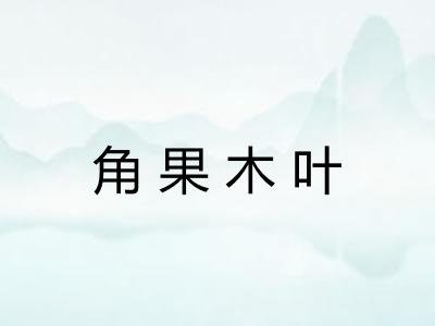 角果木叶