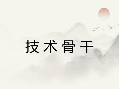 技术骨干