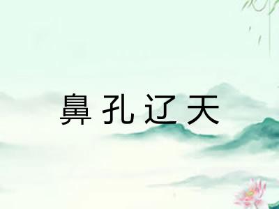 鼻孔辽天