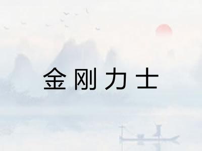 金刚力士 金刚力士
