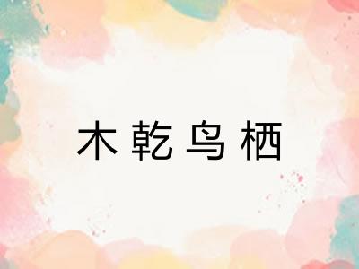 木乾鸟栖