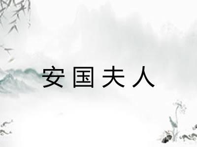 安国夫人