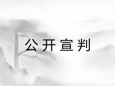 公开宣判