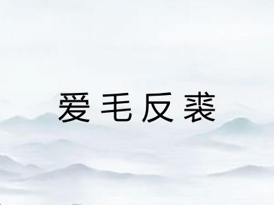 爱毛反裘