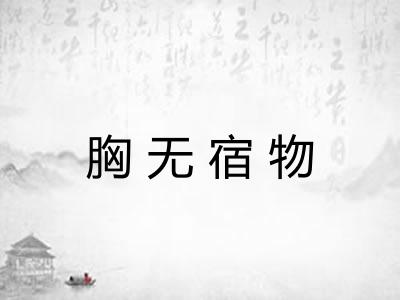 胸无宿物 胸无宿物