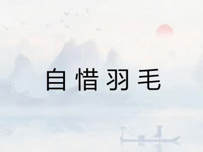 自惜羽毛