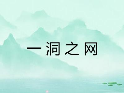 一洞之网 一洞之网