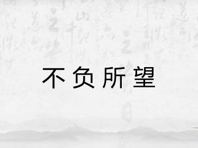 不负所望