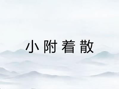 小附着散