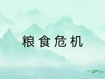 粮食危机 粮食危机