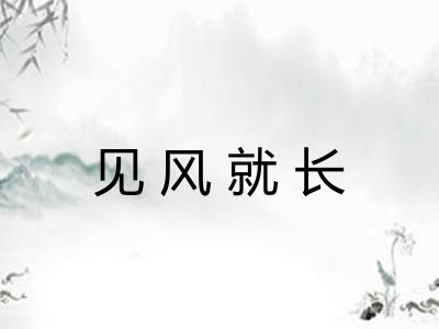 见风就长 见风就长