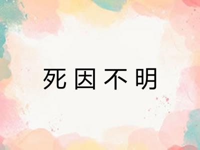 死因不明