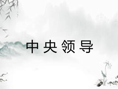 中央领导