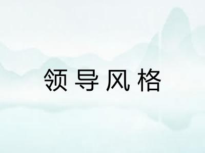 领导风格