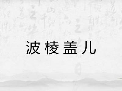 波棱盖儿