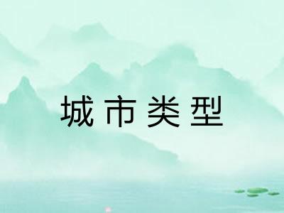 城市类型