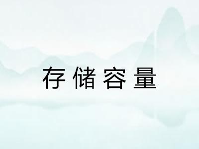 存储容量