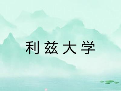 利兹大学