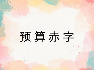预算赤字 预算赤字