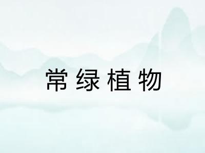 常绿植物