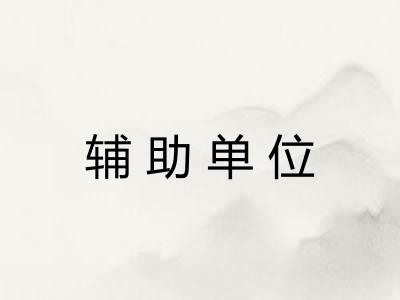 辅助单位